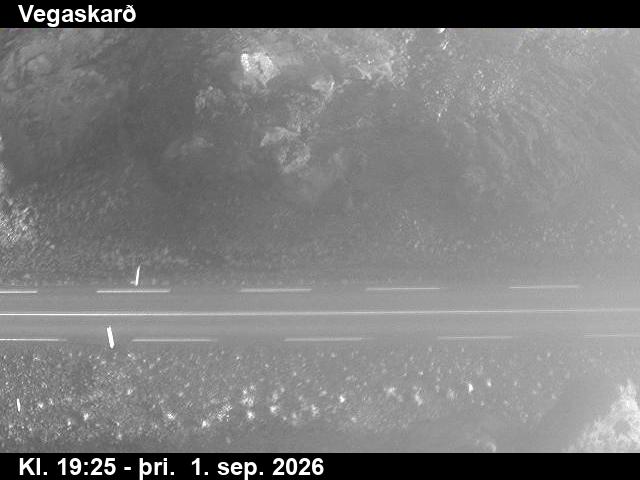 vegaskard_2-1788297925.jpg