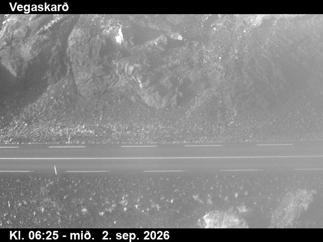 vegaskard_2-1788337670.jpg
