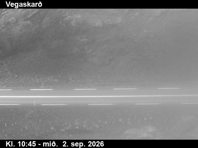 vegaskard_2-1788354066.jpg