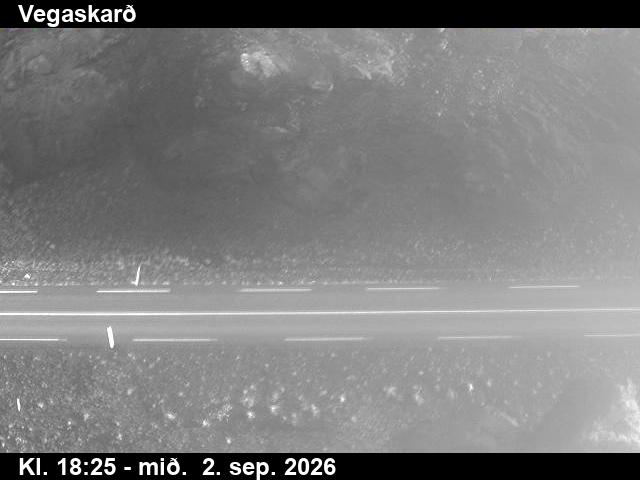 vegaskard_2-1788380732.jpg