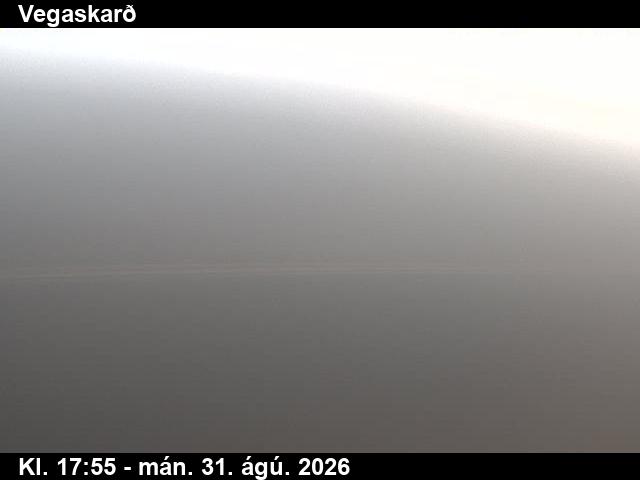 vegaskard_3-1788206505.jpg