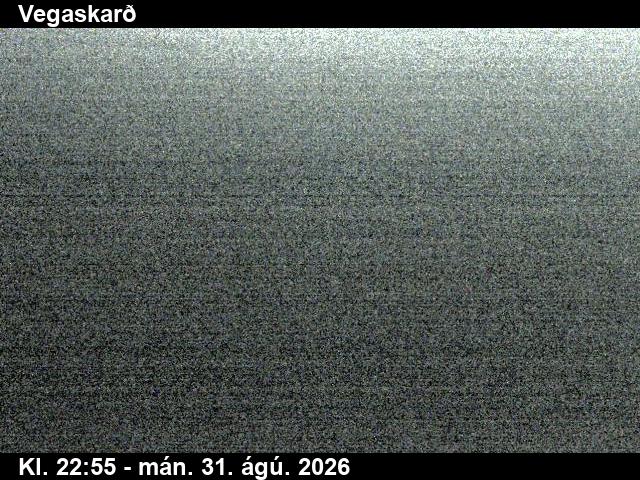 vegaskard_3-1788224484.jpg