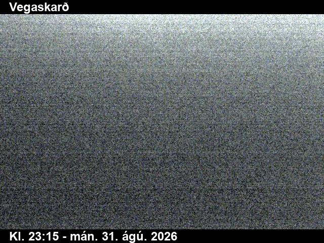 vegaskard_3-1788225927.jpg