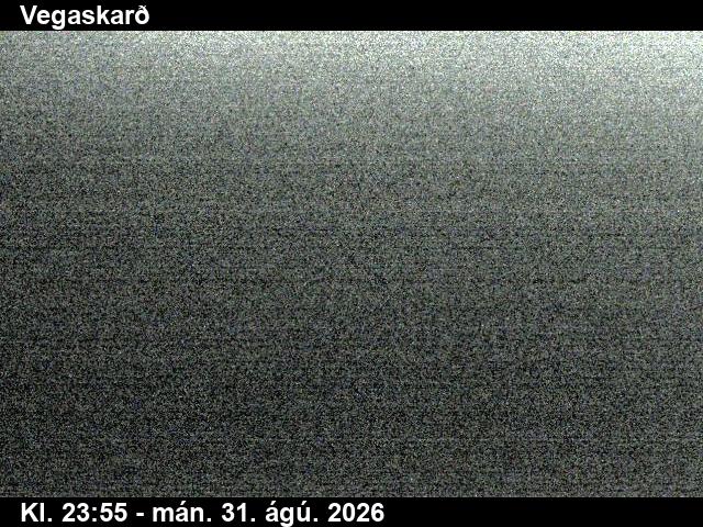 vegaskard_3-1788228079.jpg