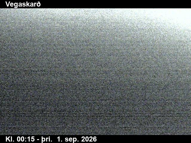 vegaskard_3-1788229525.jpg