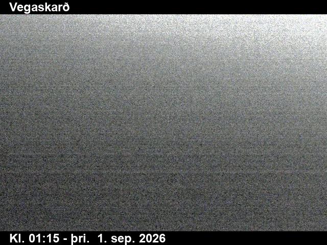 vegaskard_3-1788233126.jpg