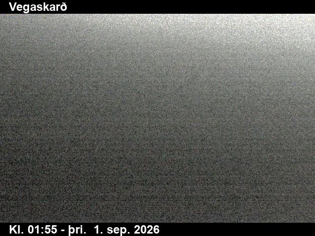 vegaskard_3-1788235301.jpg