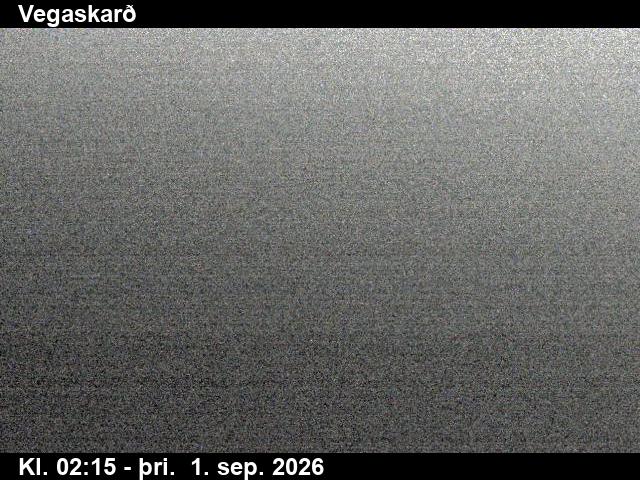 vegaskard_3-1788236767.jpg