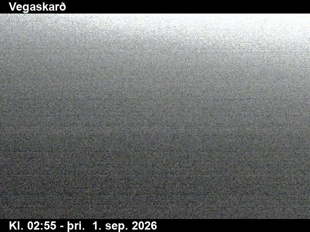 vegaskard_3-1788239178.jpg