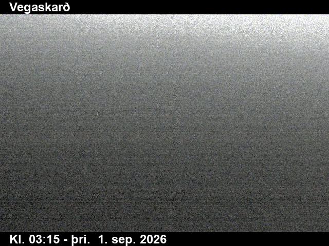 vegaskard_3-1788240331.jpg