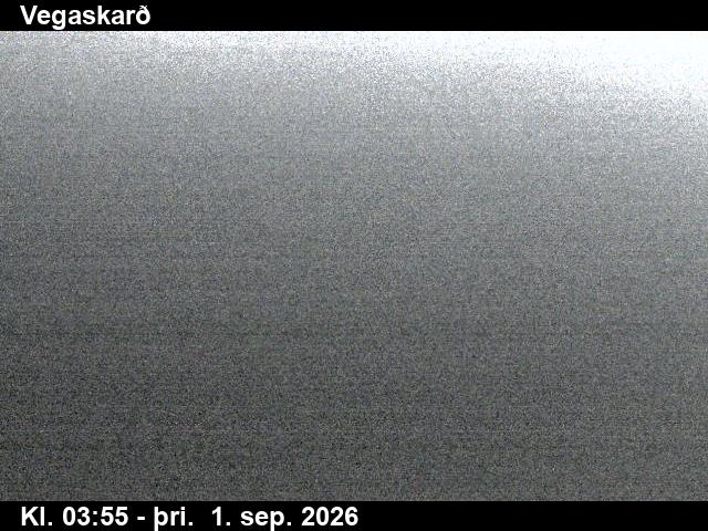 vegaskard_3-1788242751.jpg