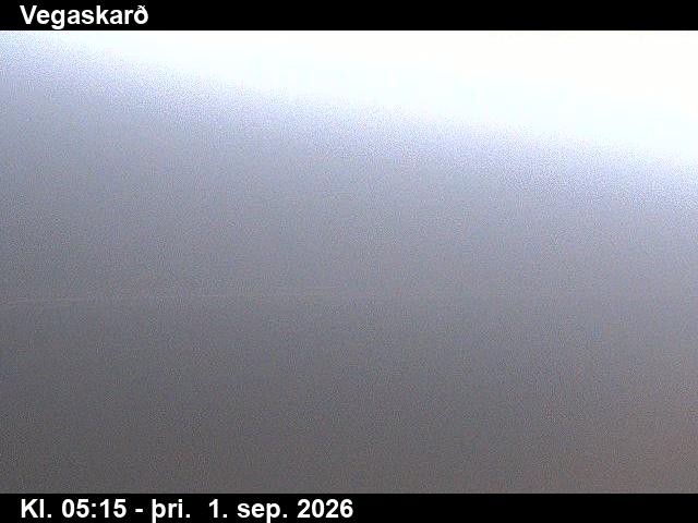 vegaskard_3-1788247533.jpg