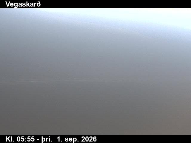 vegaskard_3-1788249713.jpg