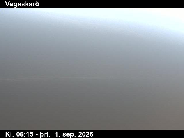 vegaskard_3-1788251139.jpg