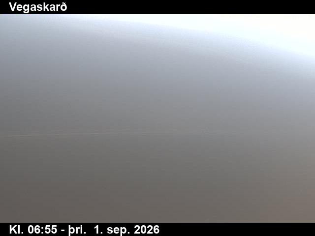 vegaskard_3-1788253274.jpg