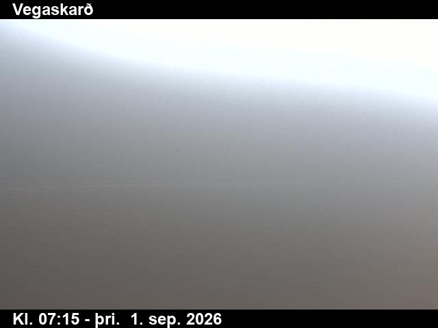 vegaskard_3-1788254761.jpg