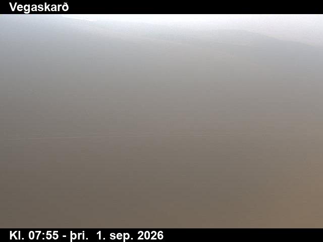 vegaskard_3-1788256876.jpg