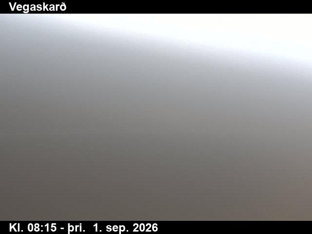 vegaskard_3-1788258481.jpg
