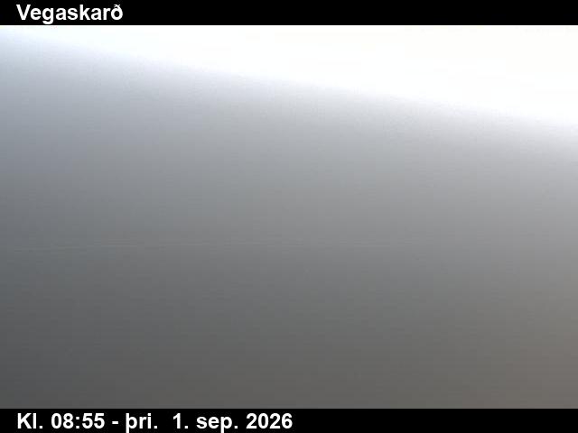 vegaskard_3-1788260762.jpg