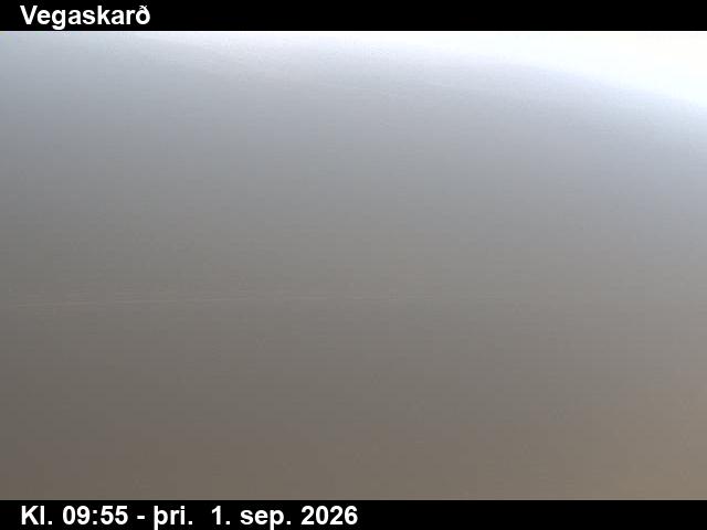 vegaskard_3-1788264107.jpg