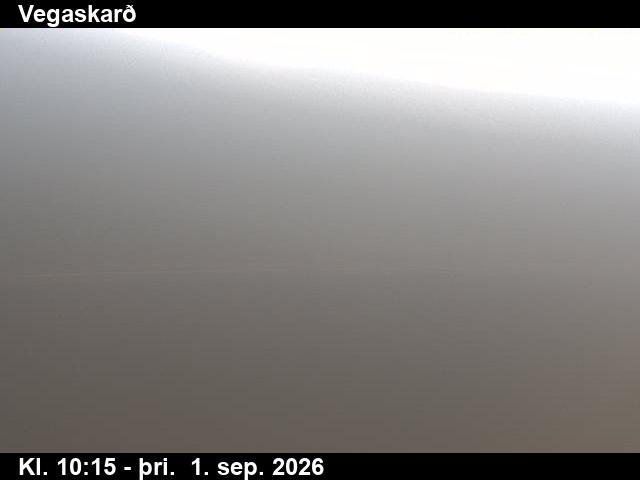 vegaskard_3-1788265555.jpg