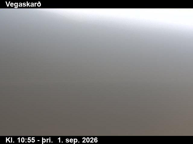 vegaskard_3-1788267696.jpg