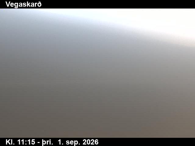 vegaskard_3-1788269123.jpg