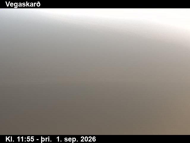 vegaskard_3-1788271240.jpg