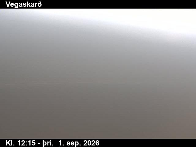 vegaskard_3-1788272746.jpg
