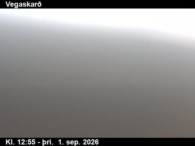 vegaskard_3-1788275130.jpg