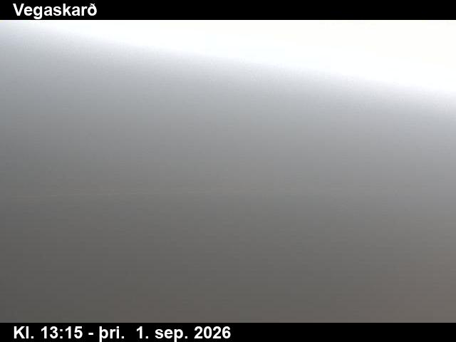 vegaskard_3-1788276339.jpg