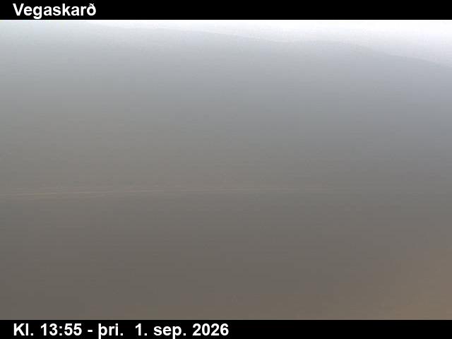 vegaskard_3-1788278733.jpg