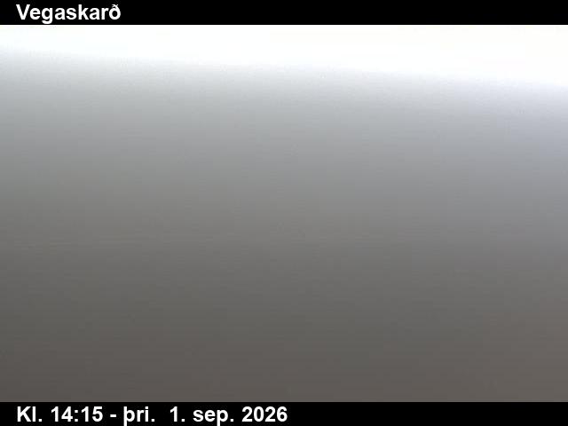 vegaskard_3-1788279949.jpg