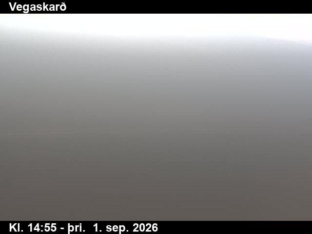 vegaskard_3-1788282377.jpg