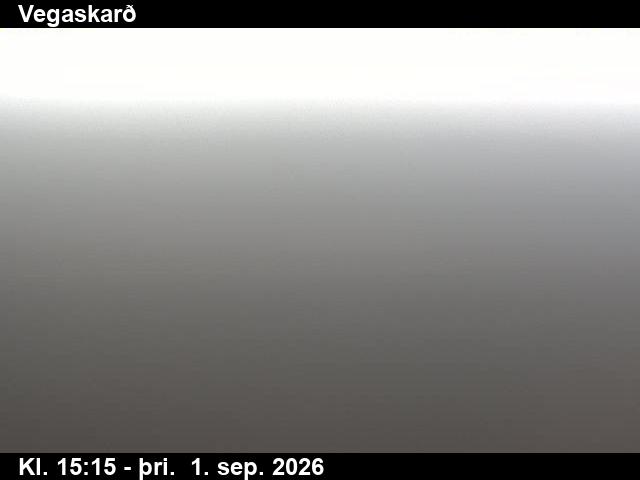 vegaskard_3-1788283545.jpg