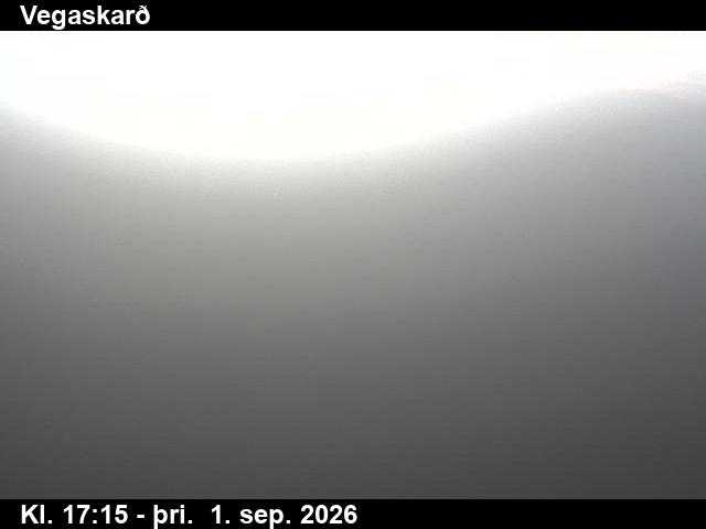 vegaskard_3-1788290727.jpg