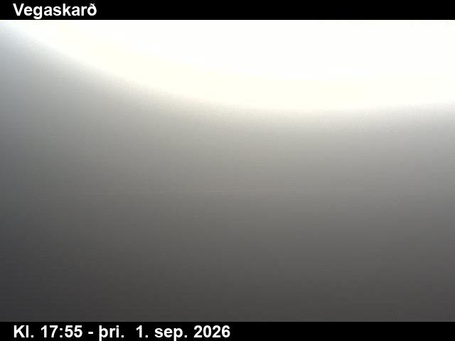 vegaskard_3-1788292848.jpg