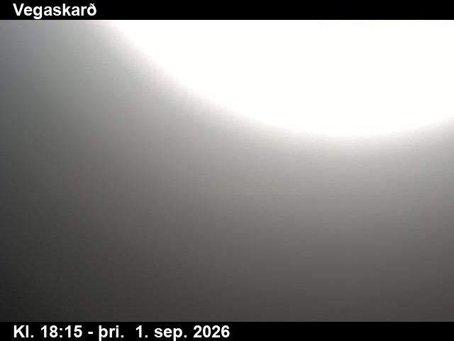 vegaskard_3-1788294348.jpg