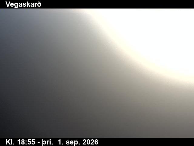 vegaskard_3-1788296733.jpg