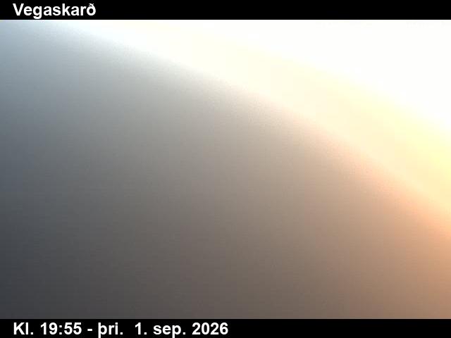 vegaskard_3-1788300061.jpg