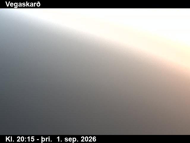 vegaskard_3-1788301571.jpg