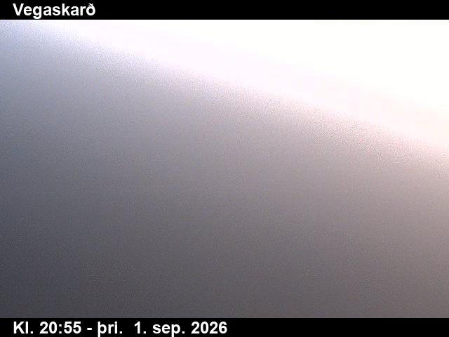 vegaskard_3-1788303661.jpg