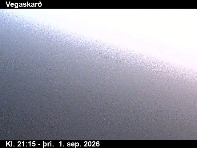 vegaskard_3-1788305160.jpg