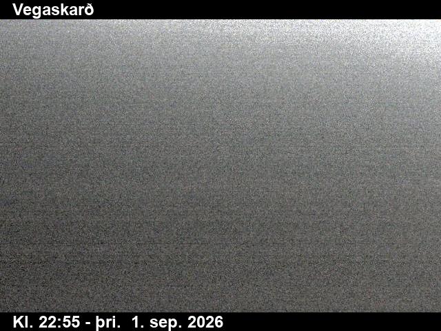 vegaskard_3-1788310846.jpg