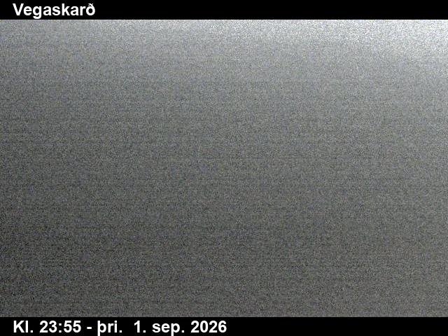 vegaskard_3-1788314453.jpg