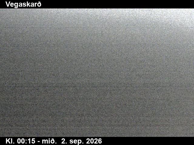 vegaskard_3-1788315946.jpg