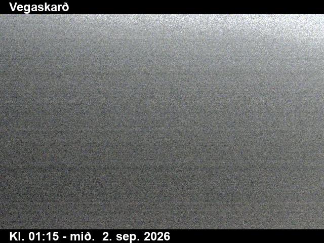 vegaskard_3-1788319526.jpg
