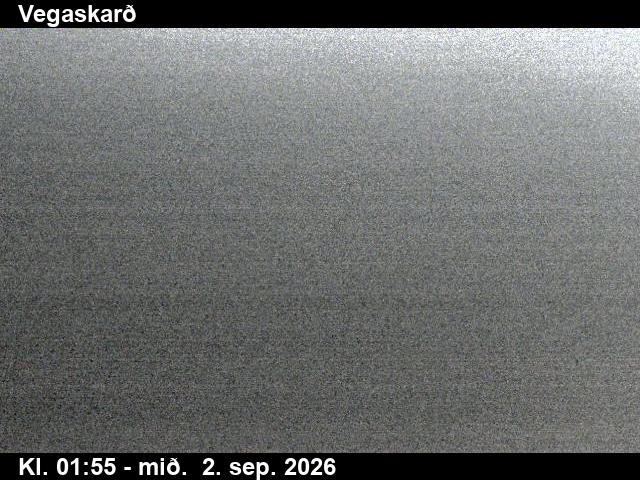 vegaskard_3-1788321672.jpg