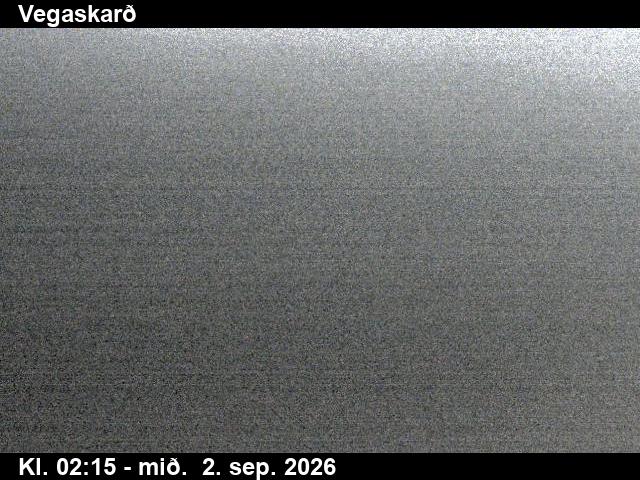 vegaskard_3-1788323131.jpg