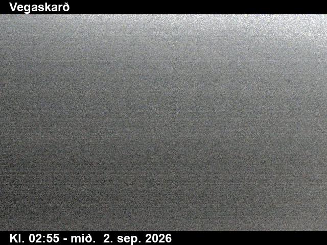 vegaskard_3-1788325350.jpg
